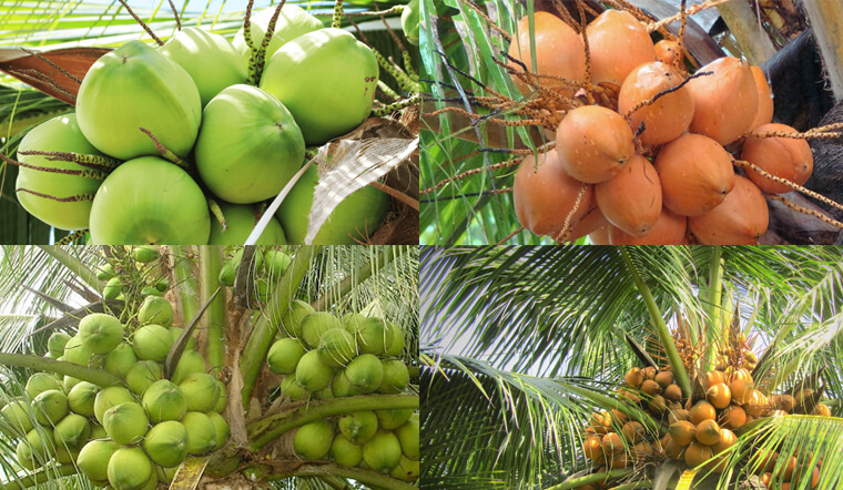 Image title Image title