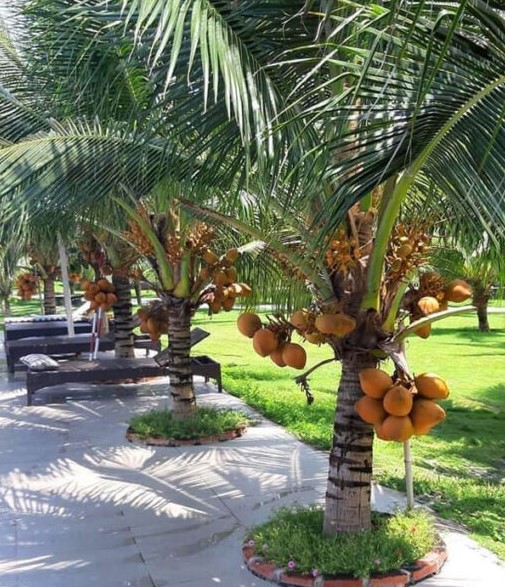 Image title Image title